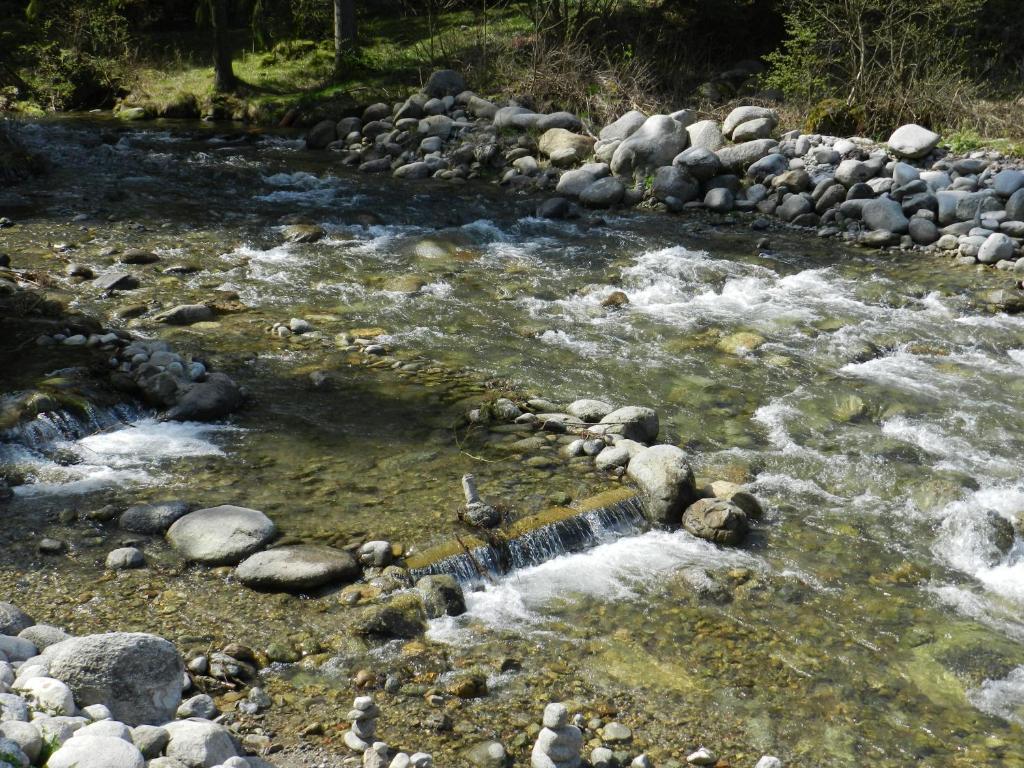 Apartmany Limba Demänovská Dolina Dış mekan fotoğraf